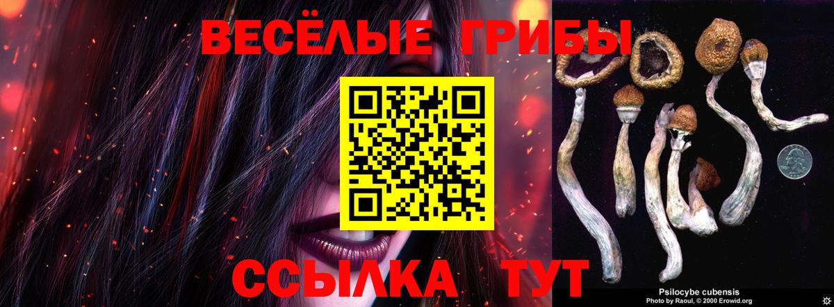 Псилоцибиновые грибы Psilocybe Северск